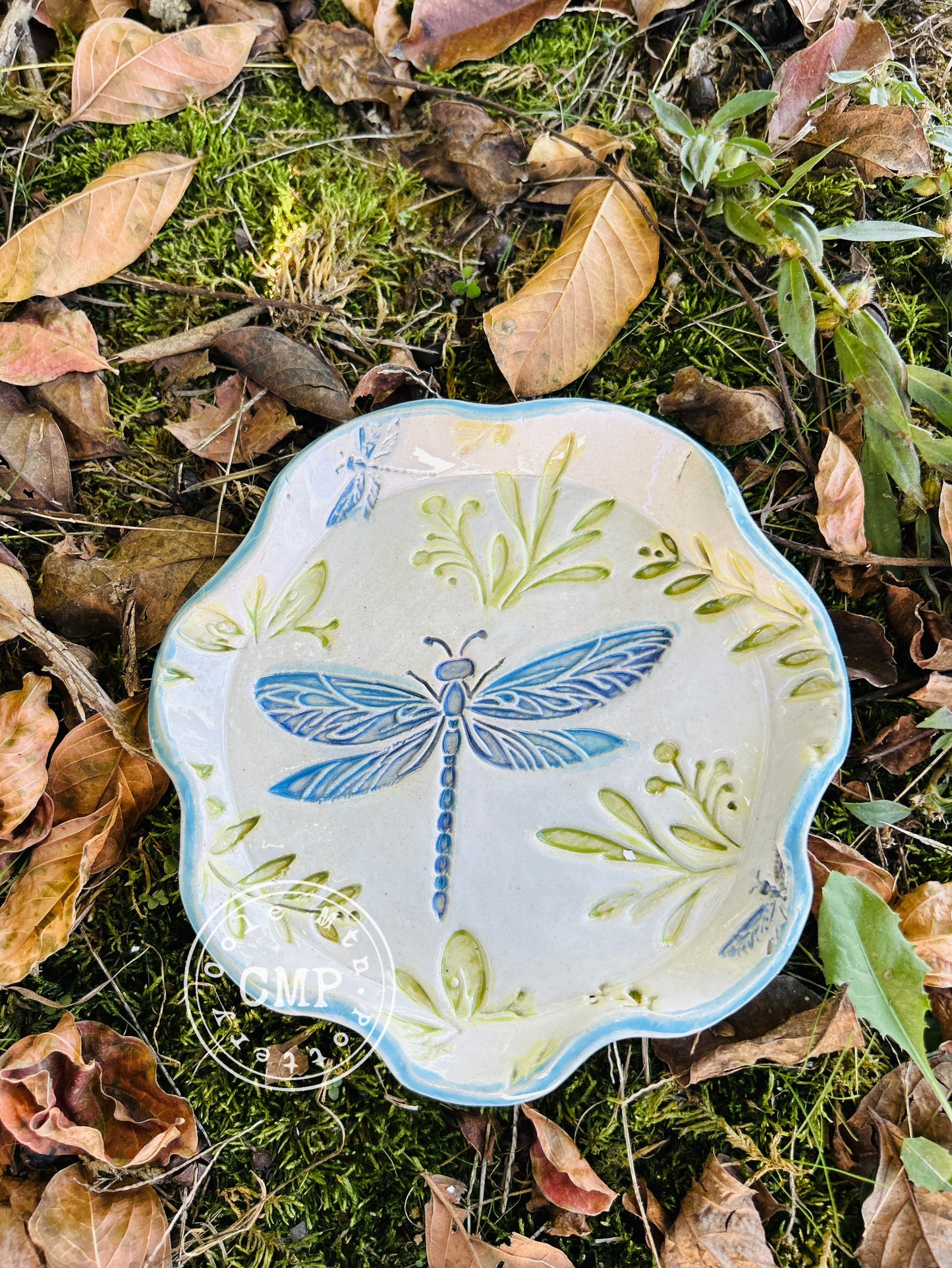 Dragonfly Collection